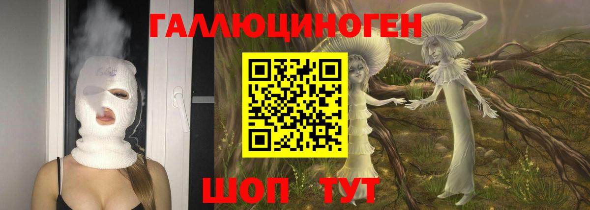 Псилоцибиновые грибы GOLDEN TEACHER Петропавловск-Камчатский