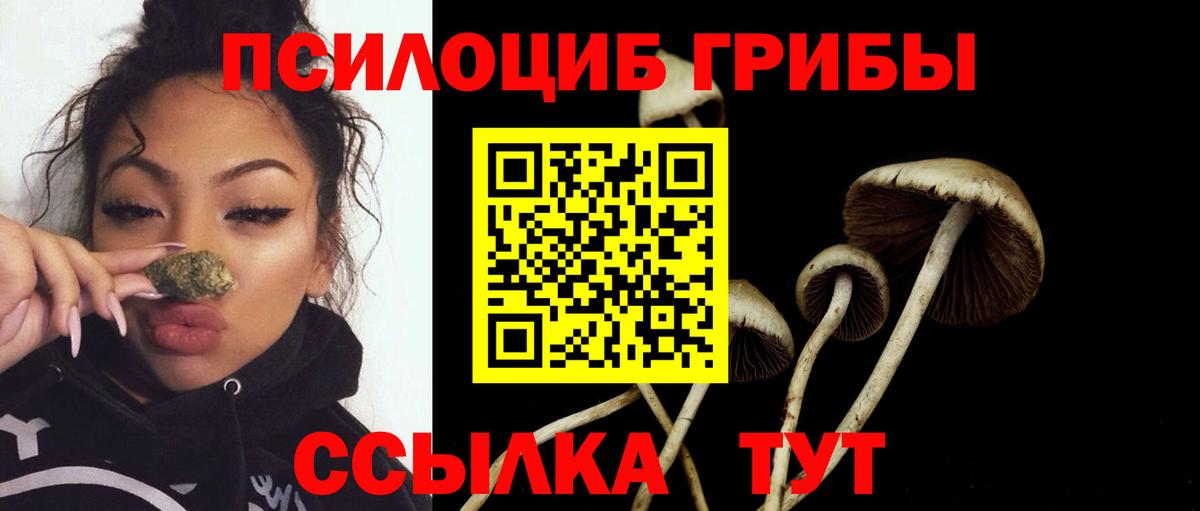 Галлюциногенные грибы Psilocybe  Псилоцибиновые грибы ЛСД  Вход с VPN  Петропавловск-Камчатский 